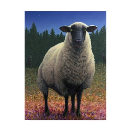 James W. Johnson 'Lost Sheep' Canvas Art,18x24